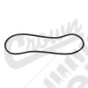 Serpentine Belt