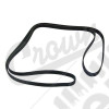 Serpentine Belt
