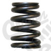 Valve Spring