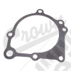 Water Pump Gasket