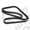 Serpentine Belt