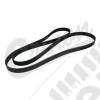 Serpentine Belt