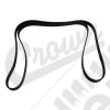 Serpentine Belt