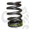 Valve Spring