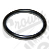 Timing Case Cover O-Ring