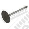 Intake Valve