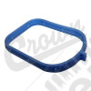 Intake Manifold Seal