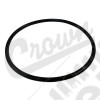 Fuel Module O-Ring