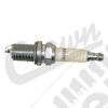 Spark Plug (RC12YC)