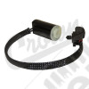 Clutch Starter Interlock Switch