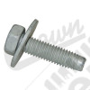 Screw & Washer