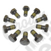 Ring Gear Bolt Kit