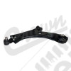 Control Arm (Front Left Lower)