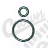 Fuel Injector O-Ring Kit