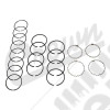 Piston Ring Set (030)