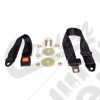 Seat Belt (Rear)