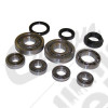 Bearing and Seal Kit (BA10)