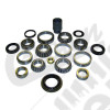 Master Overhaul Kit (Dana 44)