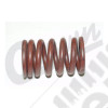 Intake Valve Spring