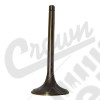 Intake Valve