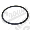 Fuel Sending Unit O-Ring