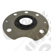 Oil Seal