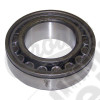 Differential Bearing Assembly