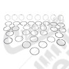 Ring Set (Std - 5.9L)