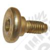 Brake Caliper Screw (Front)