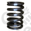 Valve Spring