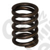 Valve Spring