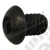 Torx Head Screw (Black)