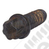 Steering Gear Bolt