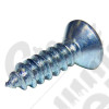 Side Mirror Mounting Screw