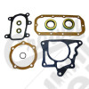 Gasket & Seal Kit (Dana 20)