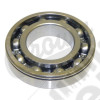 Input Bearing (Front)