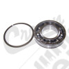 Input Shaft Bearing