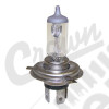 Headlight Bulb (Europe)