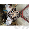 Occasion : Moteur nu refait 4.7L V8 pour Jeep Grand Cherokee WJ, WG - OCC-503973 / OCC-DD93 / OCC-DDA5 / OCC-VD93 / OCC-L4799CR / OCC-R2847014 / OCC-R2847014AB / OCC-R2847014AC