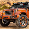 Elite Euro Guard Kit, Turn Signal 07-18 Jeep Wrangler JK/JKU