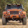 Elite Euro Guard Kit, Turn Signal/Fog Light 07-18 Wrangler JK/JKU