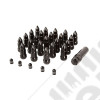 Wheel Lug Nut/Valve Stem Cap Kit, Bullet Style, Black