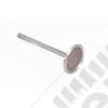 Engine Intake Valve; 97-06 Jeep, 2.5L/4.0L