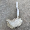 Occasion : Bocal de lave glace ??? pour Jeep divers