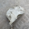 Occasion : Bocal de lave glace ??? pour Jeep divers