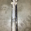 Occasion : Kit marche pieds tubulaire acier / inox avec plateaux sans fixations pour Jeep Grand Cherokee WJ, WG