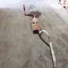 Occasion : Ligne d'échappement pour 2.5L pour Jeep Wrangler YJ