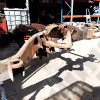 Occasion : Châssis nu pour Chevrolet Silverado 2500 HD 6.0L V8 Vortec - 2 portes