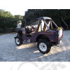 Jeep CJ5 3.8L essence d'occasion